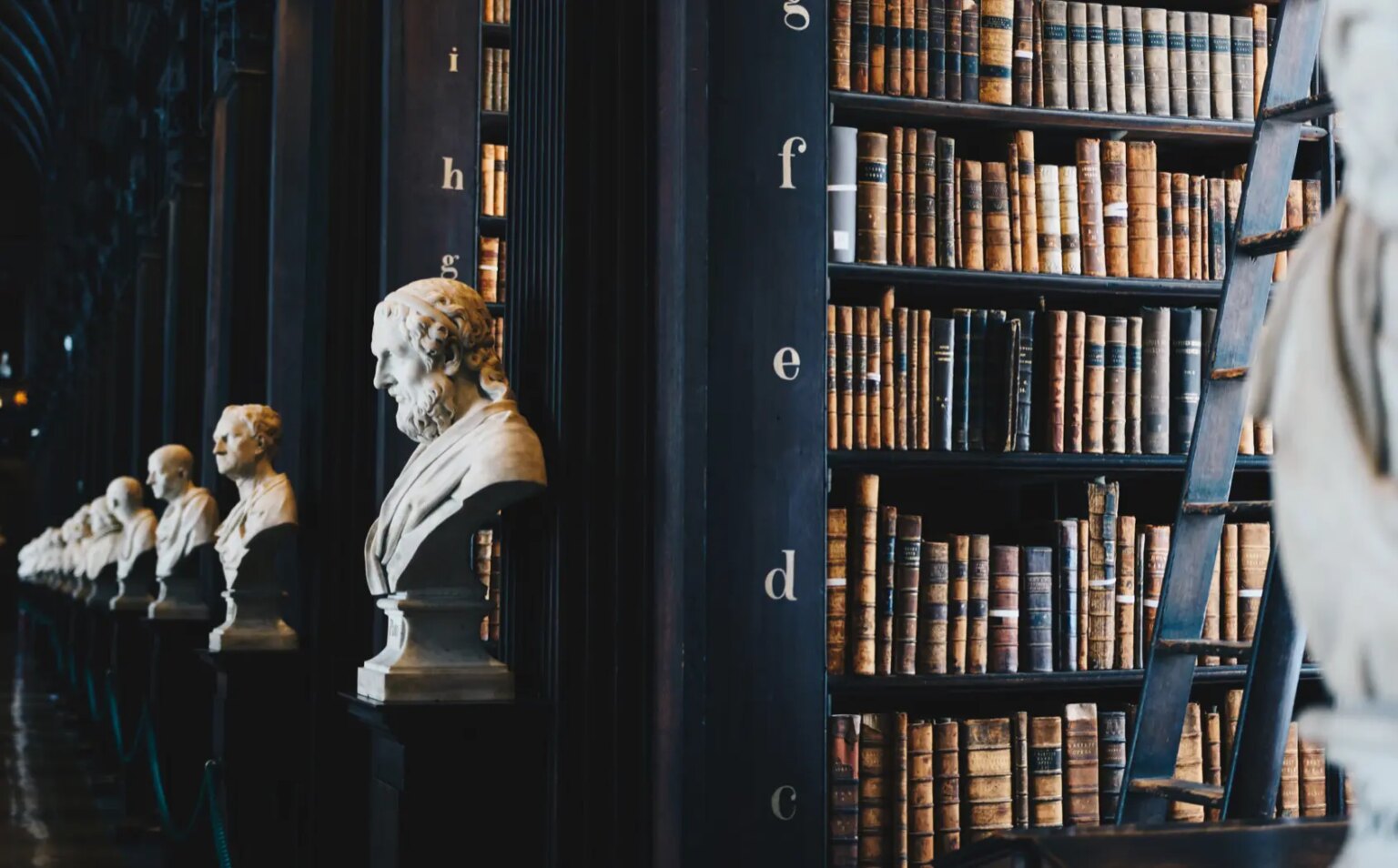 motor vehicle accident lawyer los angeles​